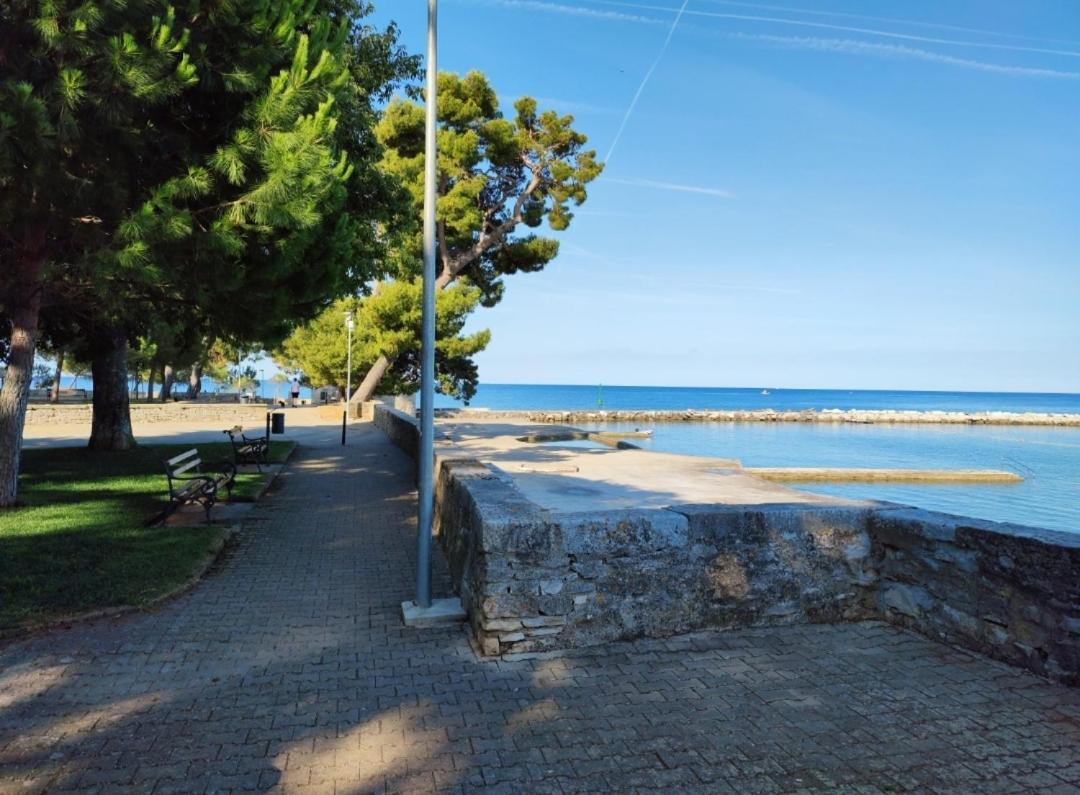 Apartments Novigrad Novigrad  Exterior photo
